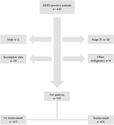 Long-term follow-up of early stage HER2-positive breast cancer patients treated with trastuzumab: A population-based real world multicenter cohort study